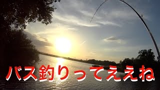淀川点野ワンド！！こりゃあ良いワンドだわ！！