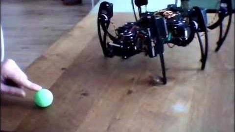 Hexapod robot tracking ball 1
