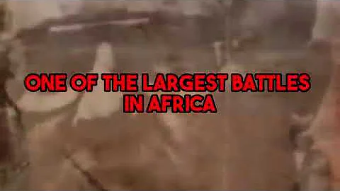 The Terrible Ones South Africa s Elite 32 Battalion