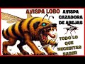 Avispa cazadora de abejas todo lo que necesitas saber