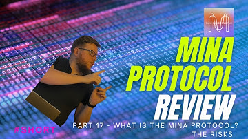 A Mina Review - The Risks #Part17 | #Shorts