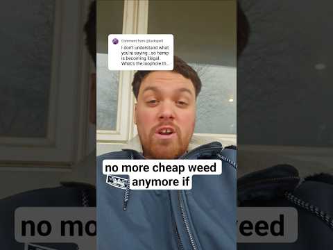 When <strong>does</strong> the Hemp Ban begin? 🤔