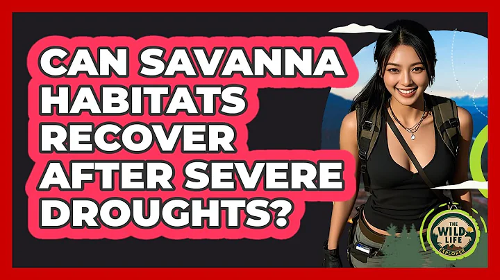 Can Savanna Habitats Recover After Severe Droughts? - The Wild Life Explorer