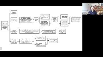 Esquema General del Proceso Penal.