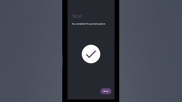 Gesture Navigation Demo Usage #pixel #android #ytcreate #shorts