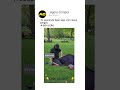 BARRACA DE CAMPING VIRAL #shorts #camping #viral