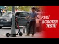 Yanlıyor: KEDİ Scooter Kiralama Testi!