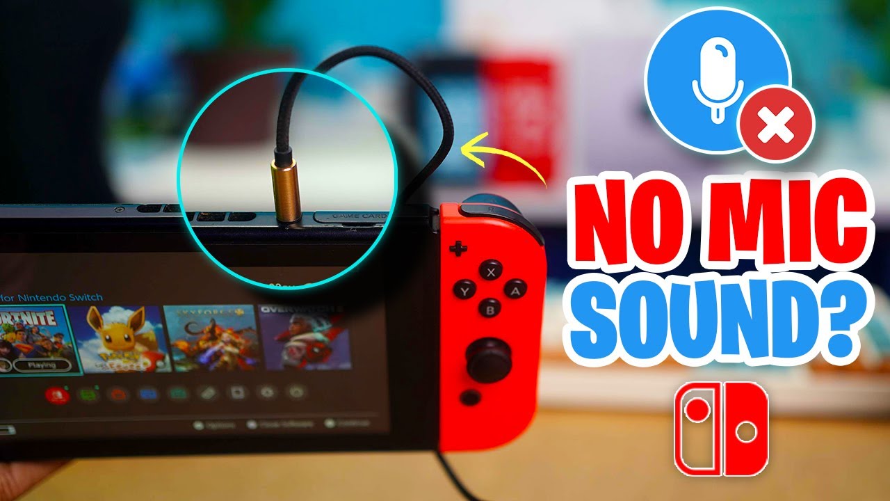 Nintendo Switch本体(Joy-Con不安要素有)＋microSD Microphone Not