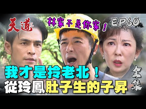 天道 EP60 完整版｜你的名字叫杜子昇｜FIGHT FOR JUSTICE｜【ivenor十時塑】