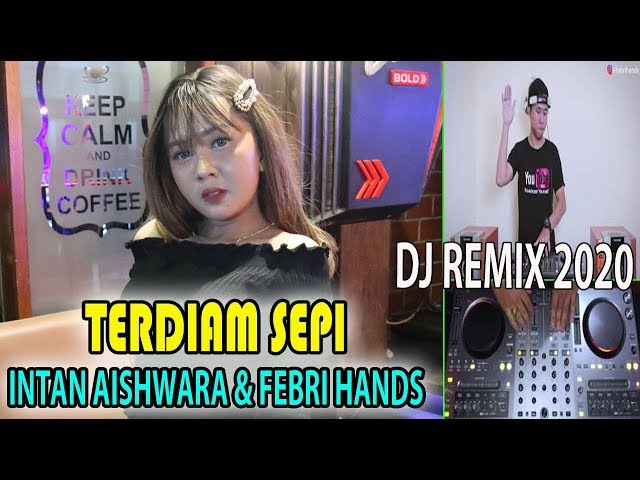 TERDIAM SEPI - Andaikan Waktu Bisa Kuputar Kembali TIKTOK VIRAL 2020 musik DJ FEBRI HANDS class=