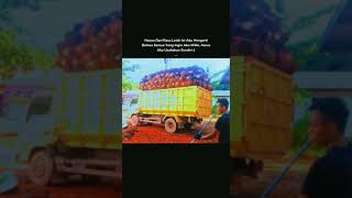 Story wa 30 detik terbaru versi truk muatan sawit