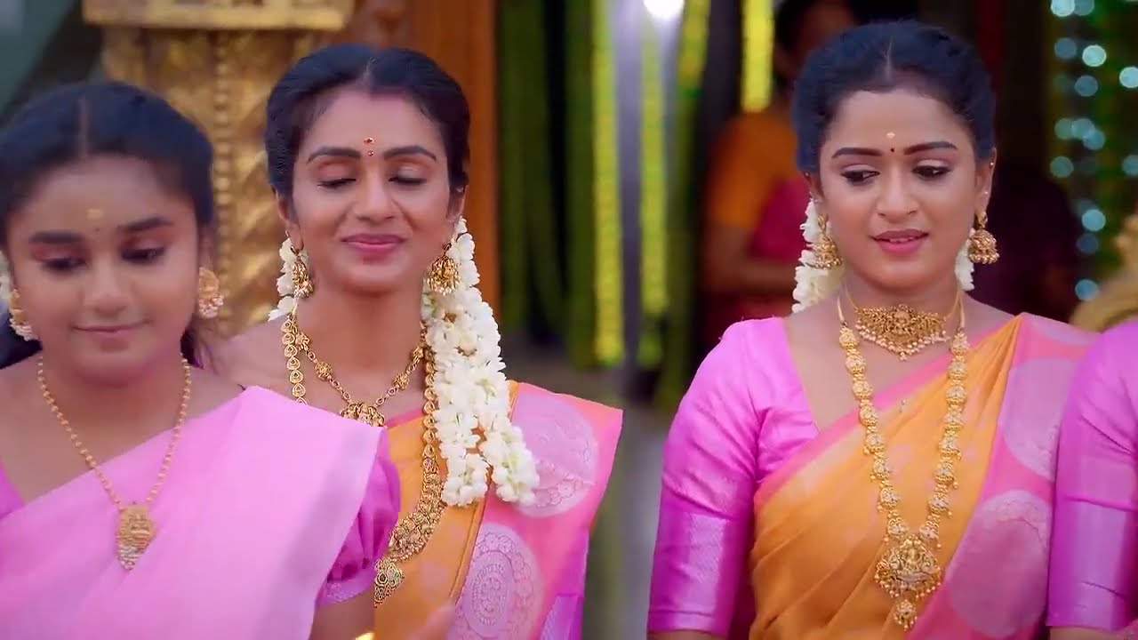 Anna | Ep - 733 | Webisode | Jul 21 2025 | Zee Tamil