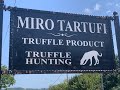 Motovun Croatia Truffle Hunt