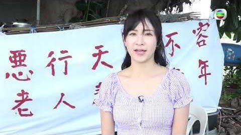 東張西望 | 魚塘大王被騙十三個魚塘 | 半億身家慘變一無所有| 騙子