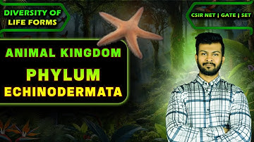 Diversity Of Life Forms CSIR NET | Animal Kingdom CSIR NET | Phylum Echinodermata
