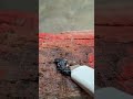 Wood Restoration Hack 🪚✅#Shorts #DIY #Woodworking #LifeHacks #WoodworkingProjects #lifehacks