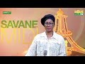 #Journal_de_12h45mns_en_français_du_ 03/02/2026