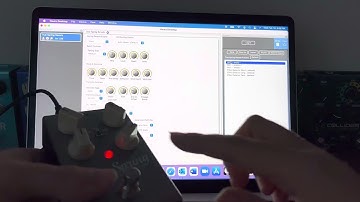 Source Audio True Spring - Preset Mode Tutorial