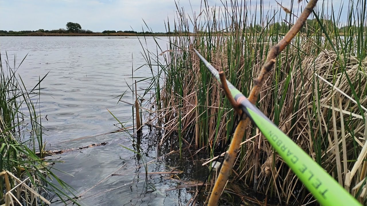 ЛОВЛЯ КАРАСЯ НА ПОПЛАВОК  Рыбалка весной на маховую удочку