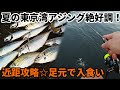 【アジング】夏休みは東京湾でアジング!近距離、豆アジ攻略☆足元で入食い。カサゴ、メバル、シーバス ゲストも豪華♪
