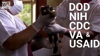 WCW Investigation: Exposing the US Navy's Foreign Primate Lab