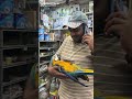 Why Is the Bolivian Blue & Gold Macaw So Beautiful? 😳🦜 #exotic