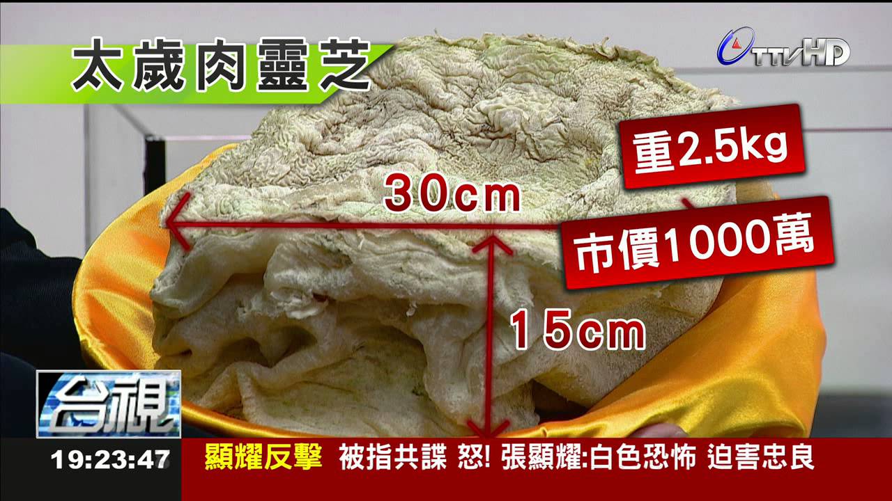 秦始皇長生不老藥太歲肉靈芝很神 Youtube