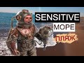 SENSITIVE PREMIUM 5*. ТУРЦИЯ МАЙ 2022. МОРЕ И ПЛЯЖ-- САМОЕ ЛУЧШЕЕ ЧТО ЕСТЬ В ТУРЦИИ.