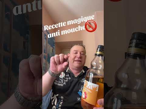 Recette Magique Anti Moucherons Mouche Mélange Miracle Pour éloigner Et Supprimer Les Insectes 