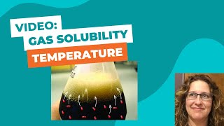Teach:  Increase Solubility of Gases With T (with cc)