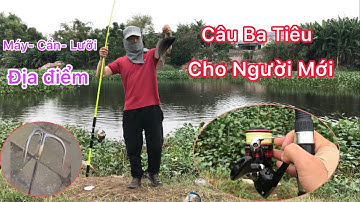 CÂU BA TIÊU CHO NGƯỜI MỚI