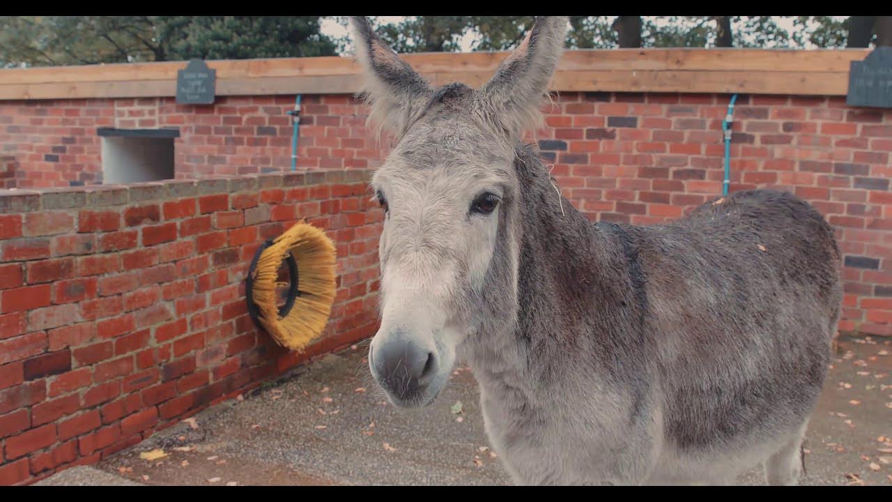 Temple Newsam Home Farm Tour Leeds City College YouTube
