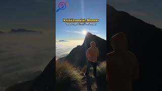😍☎️ Contact: 95666 25600(for booking)💢🍃 #travel #campping #munnar #nature #munnartrip
