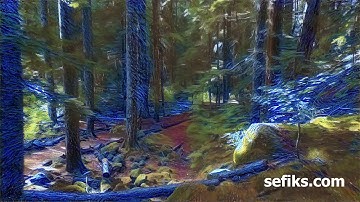 Artistic Style Transfer for a Forest Video | Deep Learning