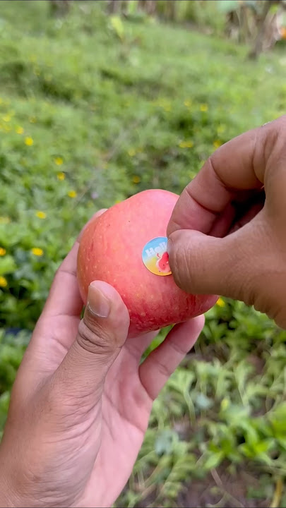 How to peel an egg in 3 SECONDSLifehack skills: Removing apple #shotrs #2689#🤤😲🍎😬🥴☹️🤔