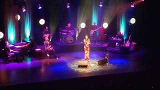 Op Zoek Naar René Xxl - Verwarrend Bestaan