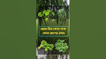 general knowledge || quiz | spinal cord I part-202