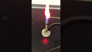 CHEM 1A Exp 8 Part A Procedures and Observations