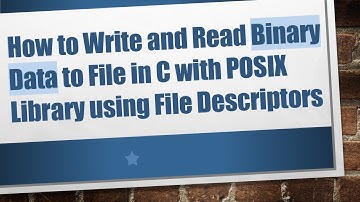 How to Write and Read Binary Data to File in C with POSIX Library using File Descriptors