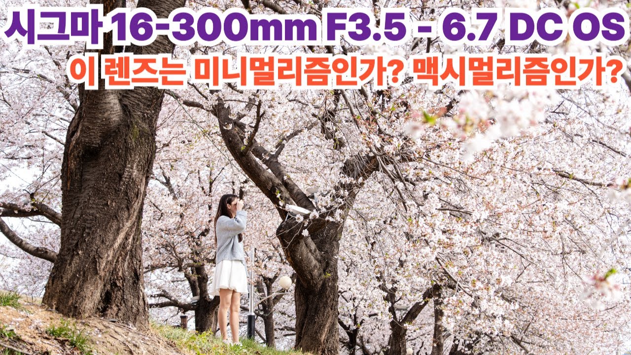 [리뷰 ⎮ Review] 시그마 16-300 F3.5-6.7  DC OS 렌즈! 세상이 정말 좋아졌네요!