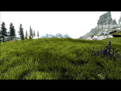 best grass mod skyrim