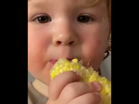 2-летний внук Екатерины Стриженовой впервые попробовал кукурузу - YouTube