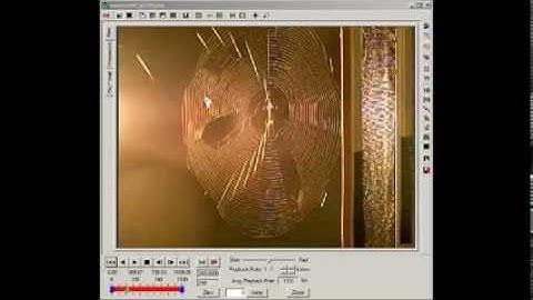 Spiderweb deformation analysis with ProAnalyst