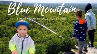 Scenic Caves Nature Adventures at Blue Mountain  Ontario | Outdoor Fun
