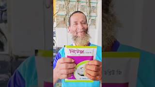 ধানের মাজরা পোকা দমনে নির্ভরযোগ্য সমাধান নিটেক্স