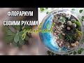 ДЕЛАЮ ФЛОРАРИУМ В ПЕРВЫЙ РАЗ | ОЧЕНЬ УВЛЕКАТЕЛЬНО! ПОПРОБУЙТЕ И ВЫ!