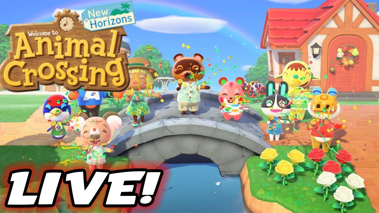 UNSERE schöne INSEL weiter BAUEN! Animal Crossing New Horizons YouTube
