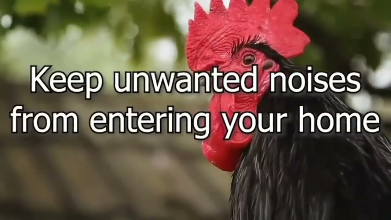 ICFs are sound resistant