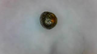Possible Micrometeorite