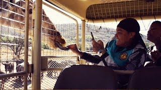 Young M.A - The Lyfe In Johannesburg, South Africa